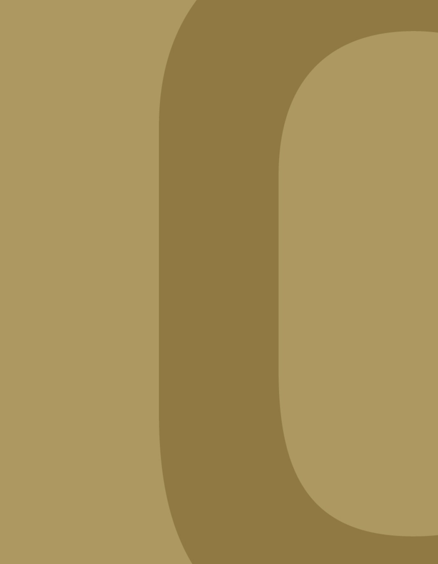 The Jewelry Market in Vietnam: Opportunities for Italian Companies